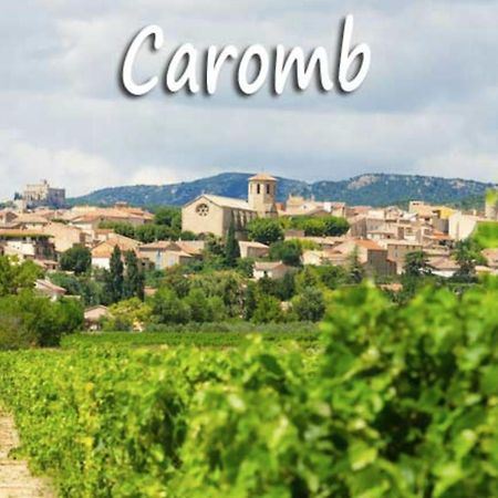 Belle maison provençale au pied du Mont Ventoux Caromb Extérieur photo