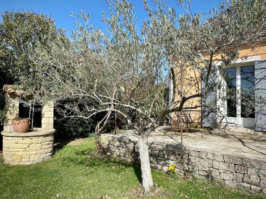 Belle maison provençale au pied du Mont Ventoux Caromb Extérieur photo
